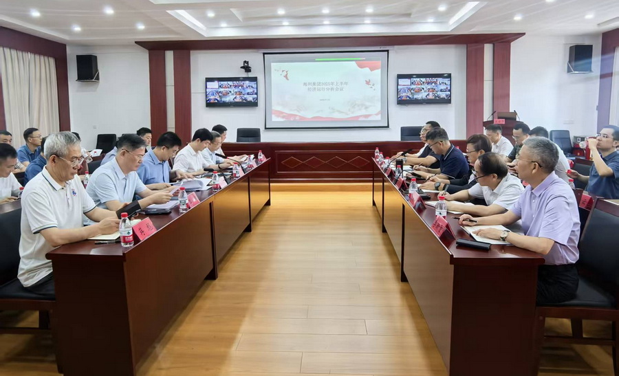 海利集團召開2025年上半年經(jīng)濟運行分析會